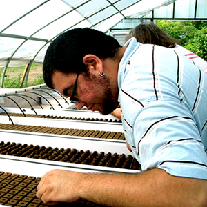 employee planting seeds in the greenhouse